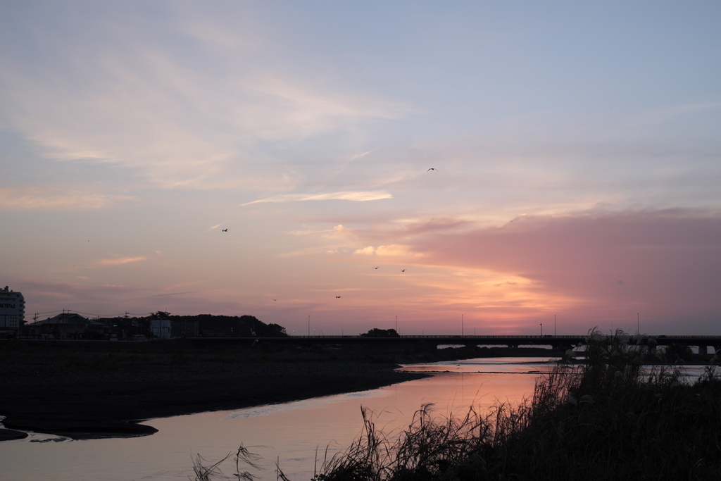 f:id:MotoPhoto94:20181202083125j:plain f:id:MotoPhoto94:20181202083125j:plain