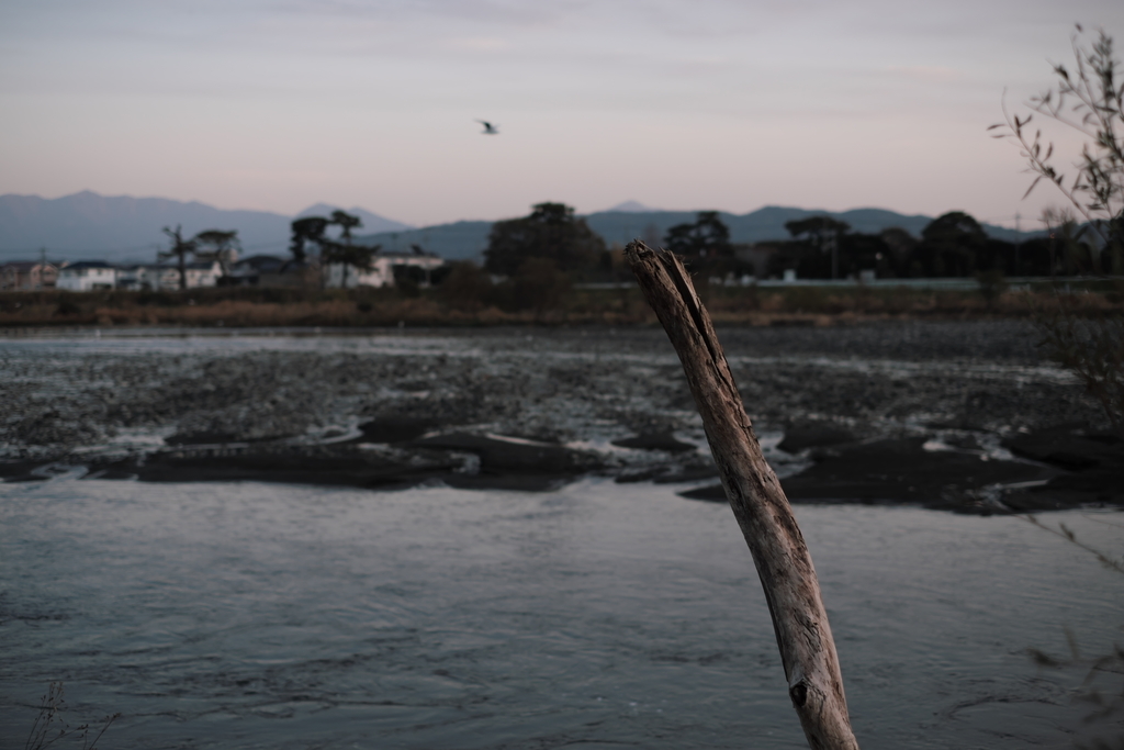 f:id:MotoPhoto94:20181202083139j:plain f:id:MotoPhoto94:20181202083139j:plain