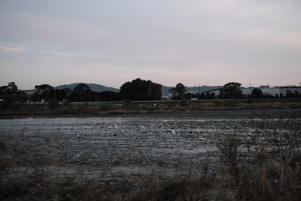 f:id:MotoPhoto94:20181202083147j:plain f:id:MotoPhoto94:20181202083147j:plain