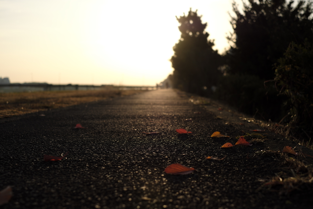 f:id:MotoPhoto94:20181202083310j:plain f:id:MotoPhoto94:20181202083310j:plain