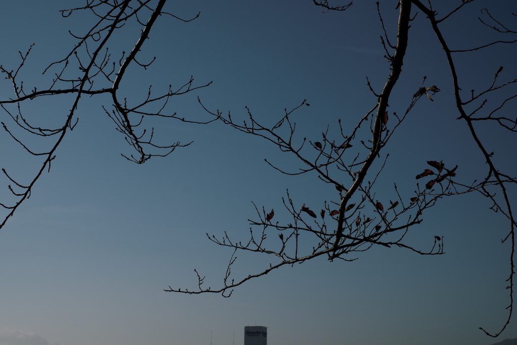 f:id:MotoPhoto94:20181202083339j:plain f:id:MotoPhoto94:20181202083339j:plain