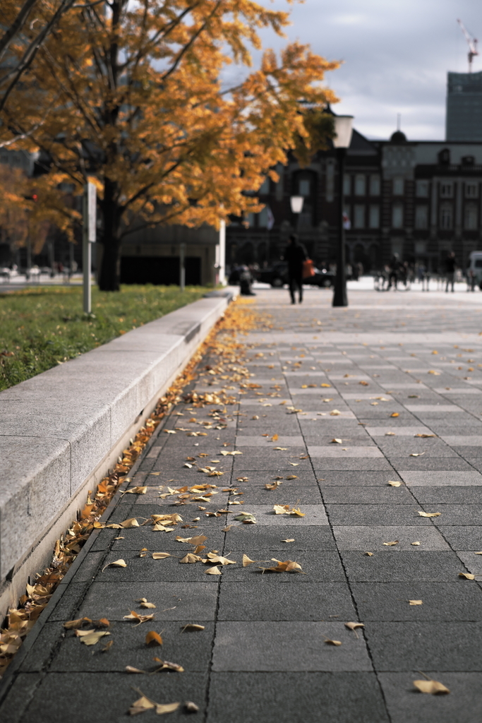 f:id:MotoPhoto94:20181216095009j:plain