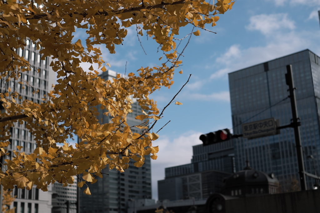 f:id:MotoPhoto94:20181216095100j:plain