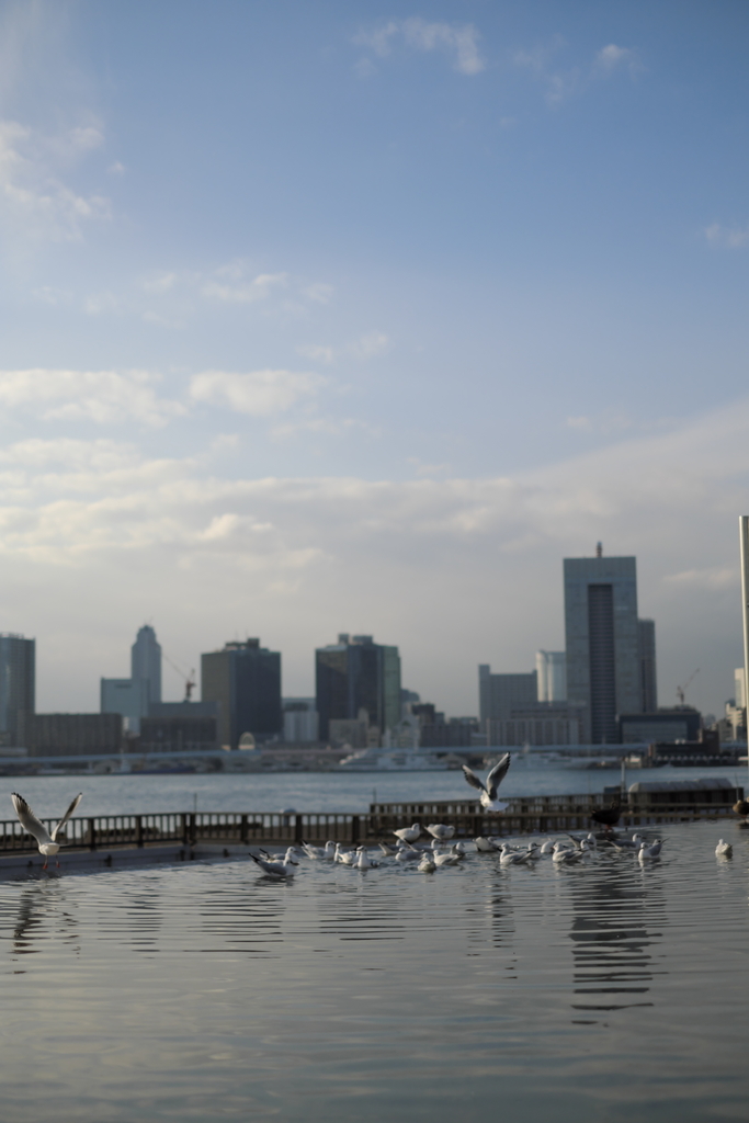 f:id:MotoPhoto94:20181217222332j:plain