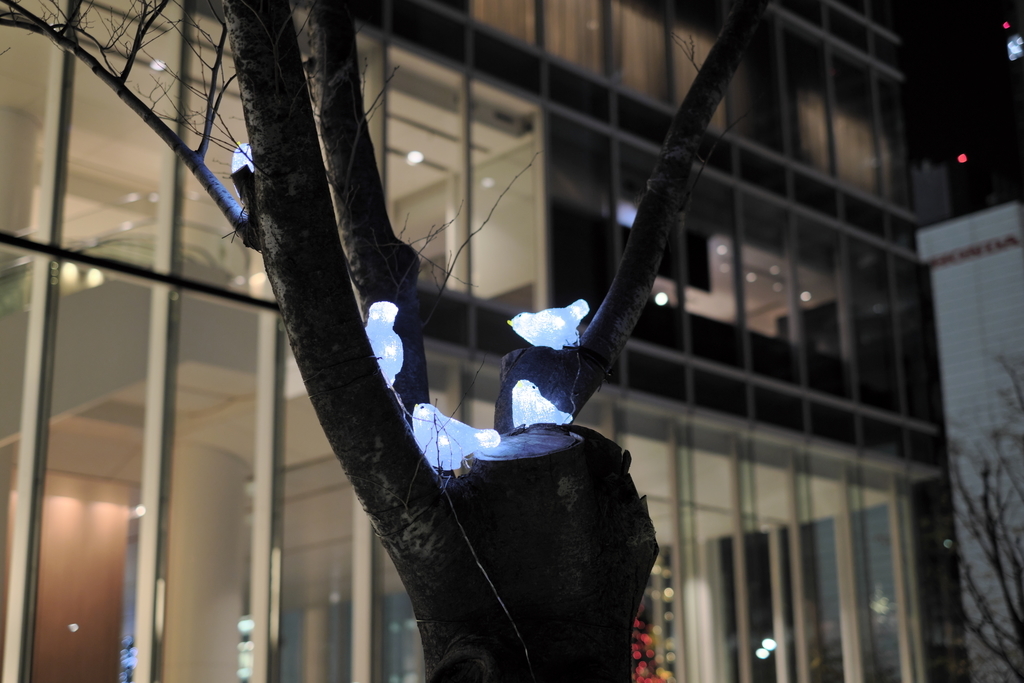 f:id:MotoPhoto94:20181217225932j:plain