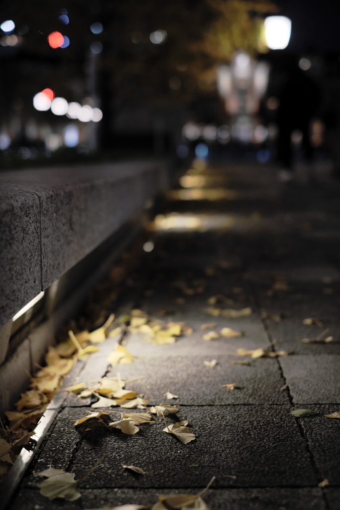 f:id:MotoPhoto94:20181217230350j:plain