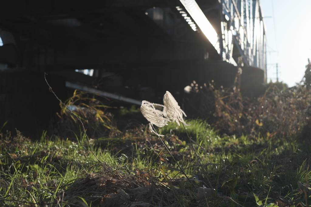 f:id:MotoPhoto94:20190117192639j:plain