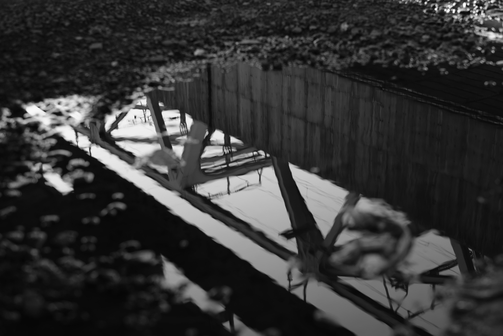 f:id:MotoPhoto94:20190117192641j:plain