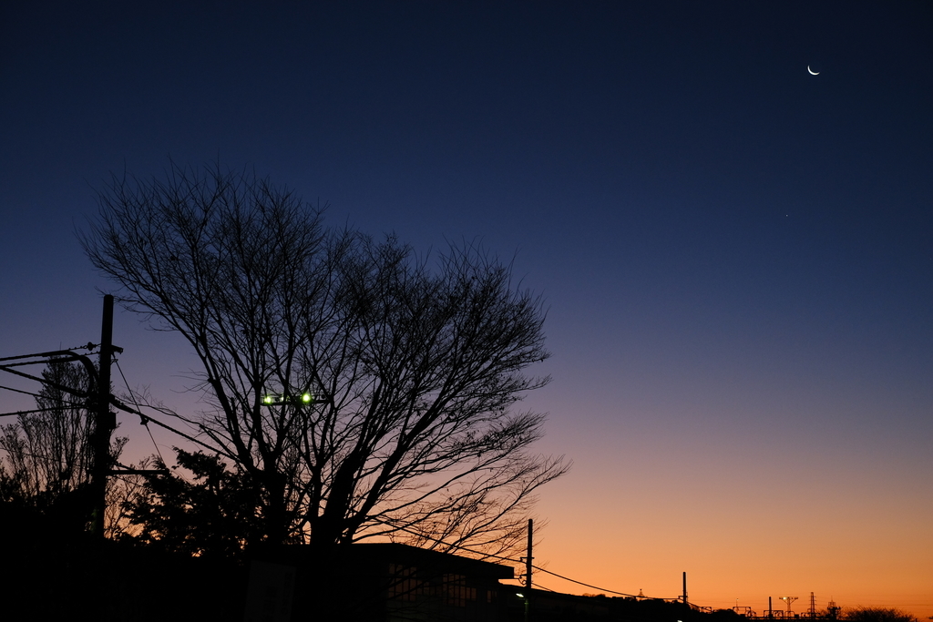 f:id:MotoPhoto94:20190117192806j:plain