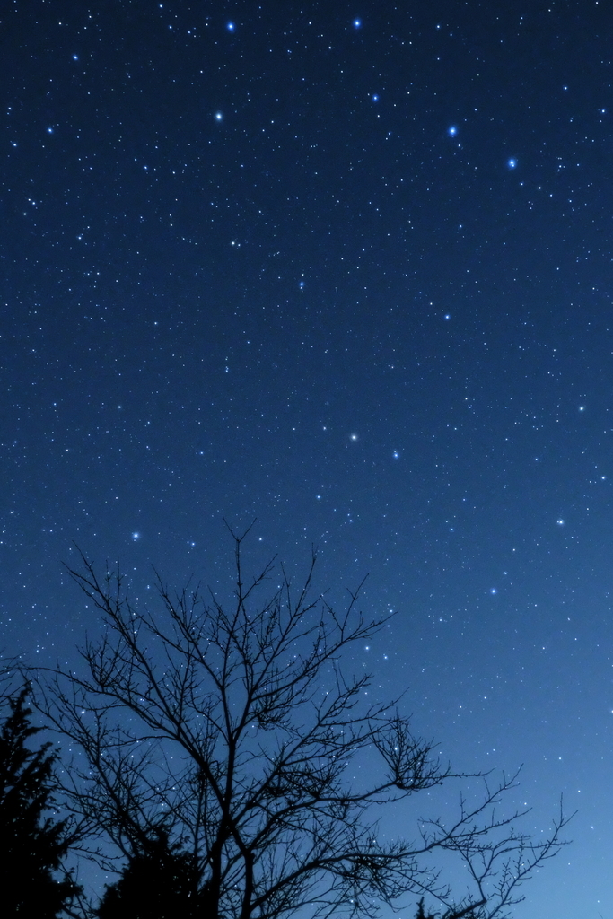 f:id:MotoPhoto94:20190117192958j:plain