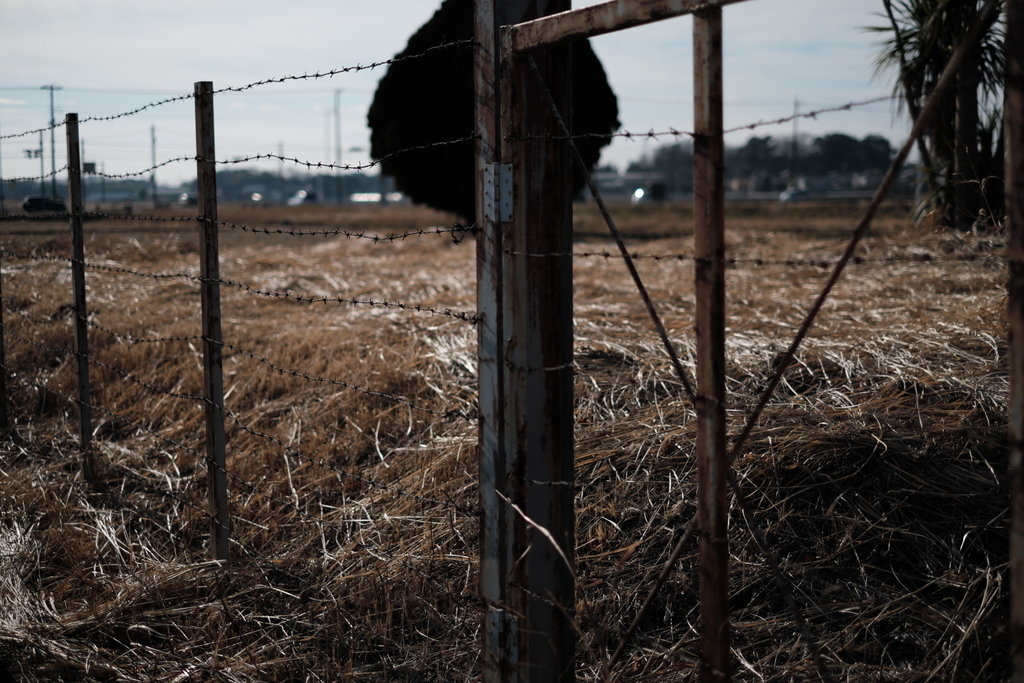 f:id:MotoPhoto94:20190122215228j:plain