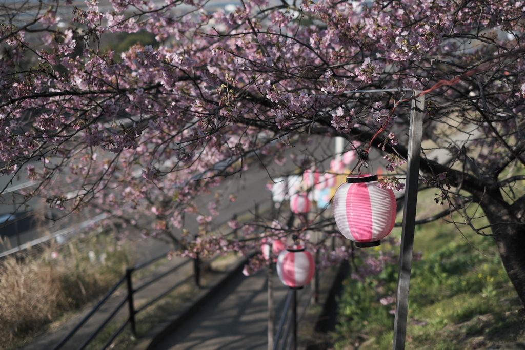 f:id:MotoPhoto94:20190220204615j:plain