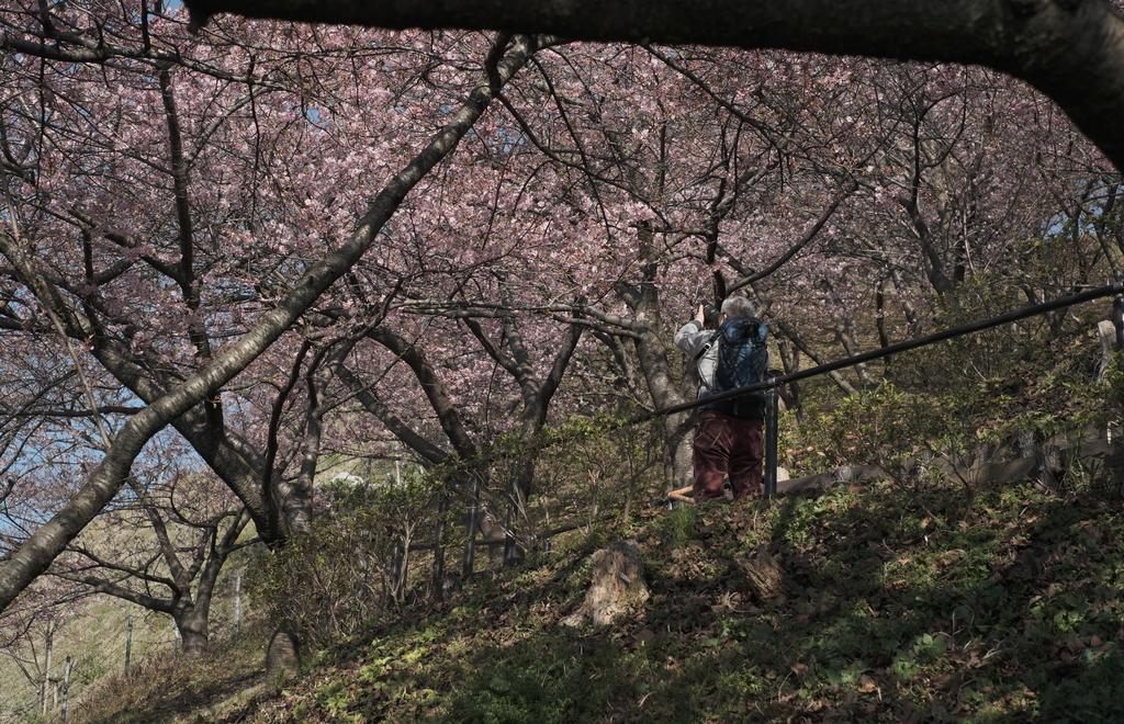 f:id:MotoPhoto94:20190220204723j:plain