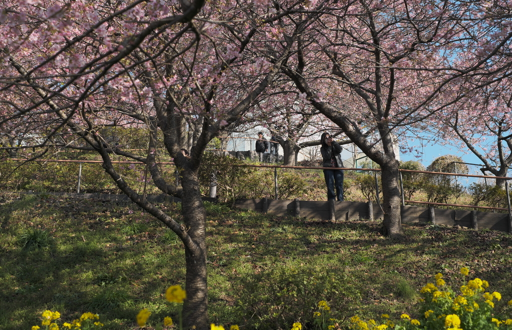 f:id:MotoPhoto94:20190220204734j:plain