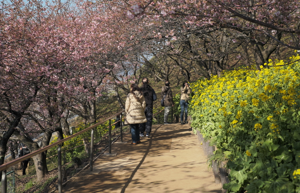 f:id:MotoPhoto94:20190220204753j:plain