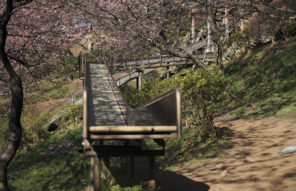 f:id:MotoPhoto94:20190220204856j:plain