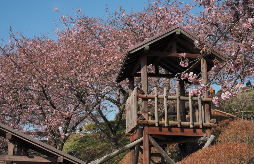 f:id:MotoPhoto94:20190220204953j:plain