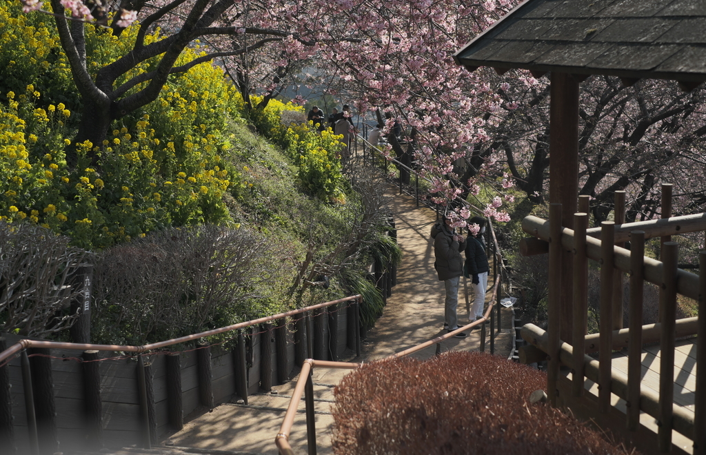 f:id:MotoPhoto94:20190220205005j:plain