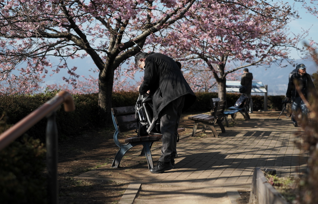 f:id:MotoPhoto94:20190220205012j:plain