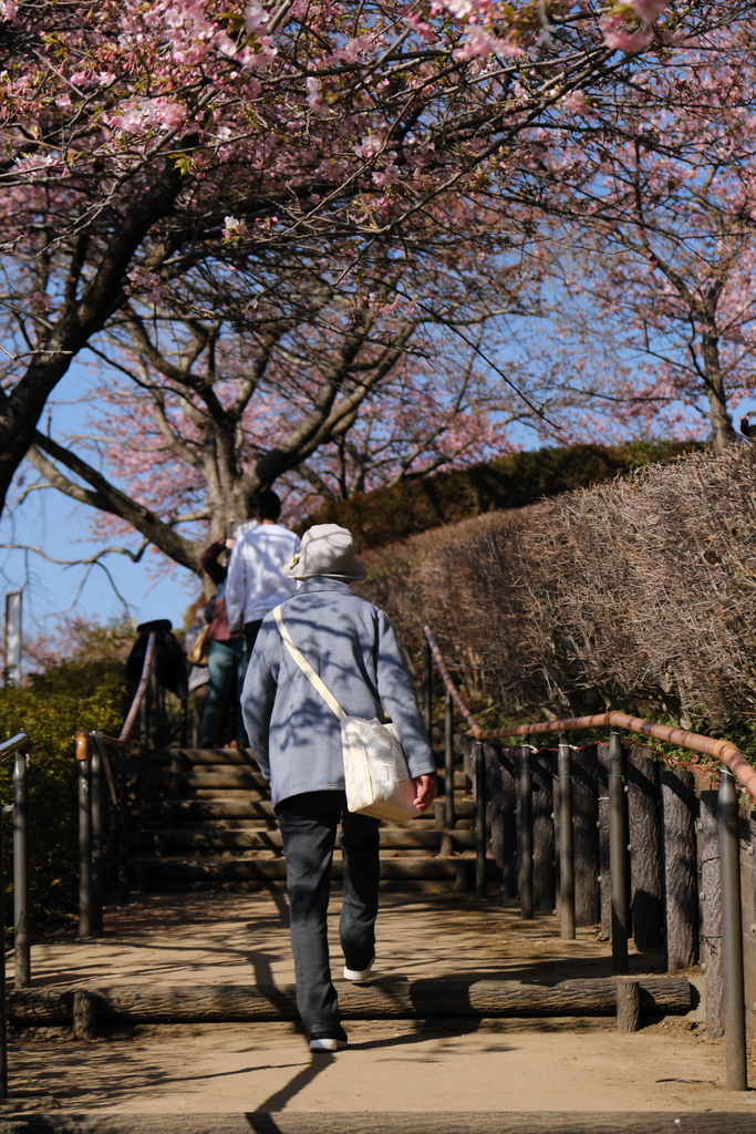 f:id:MotoPhoto94:20190220205040j:plain