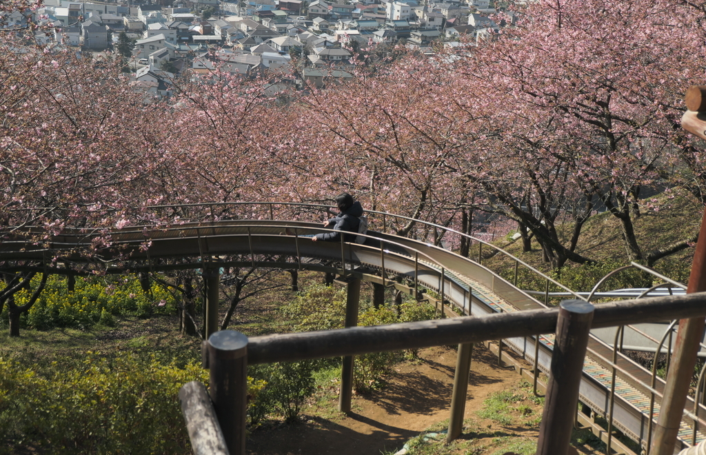 f:id:MotoPhoto94:20190220205059j:plain