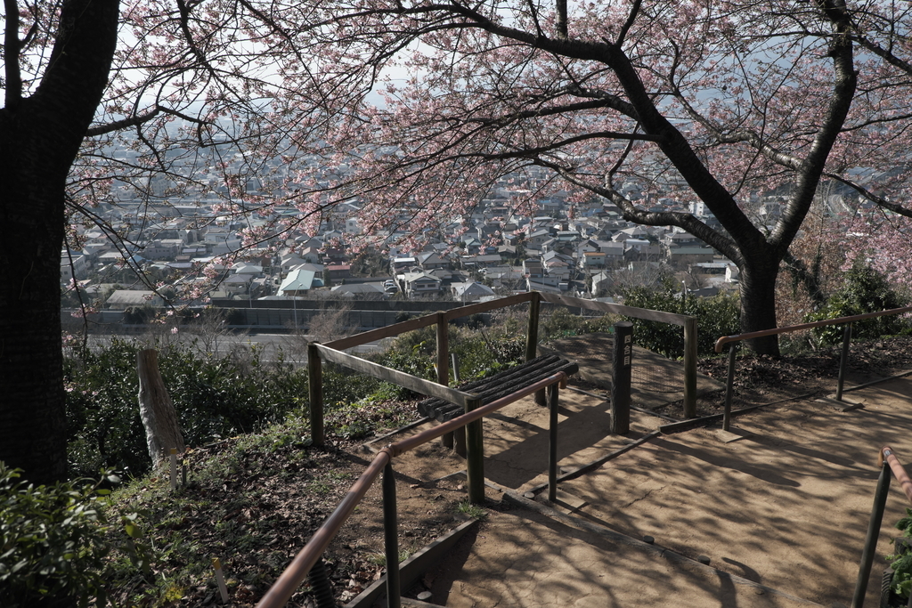 f:id:MotoPhoto94:20190220211508j:plain