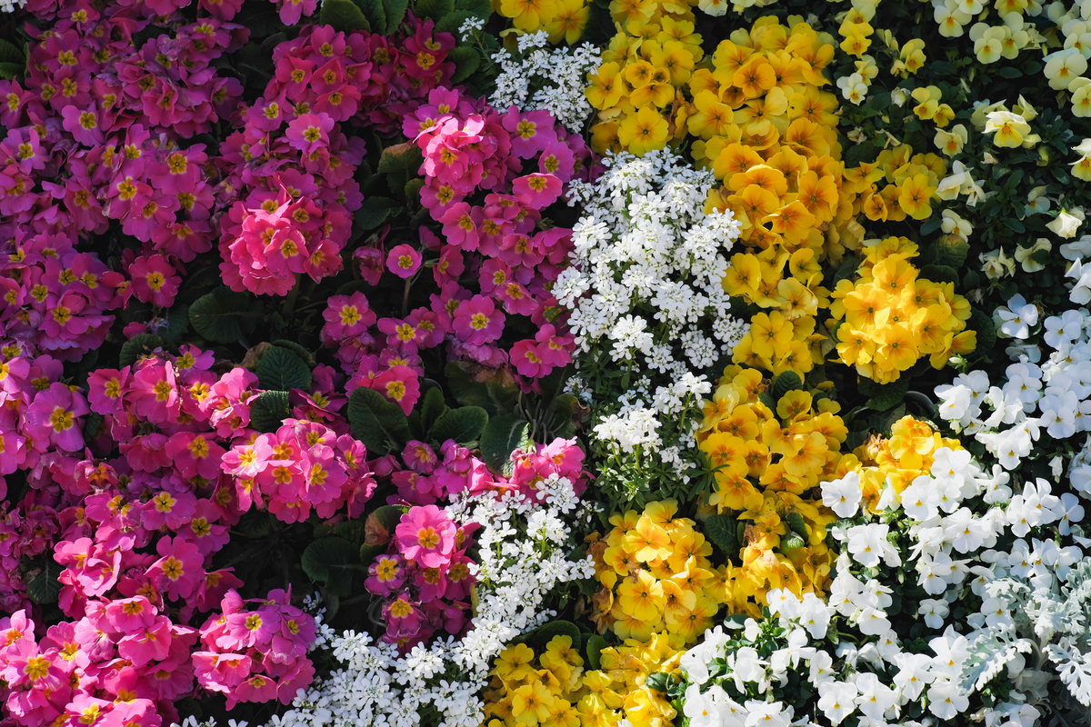 f:id:MotoPhoto94:20200318222222j:plain