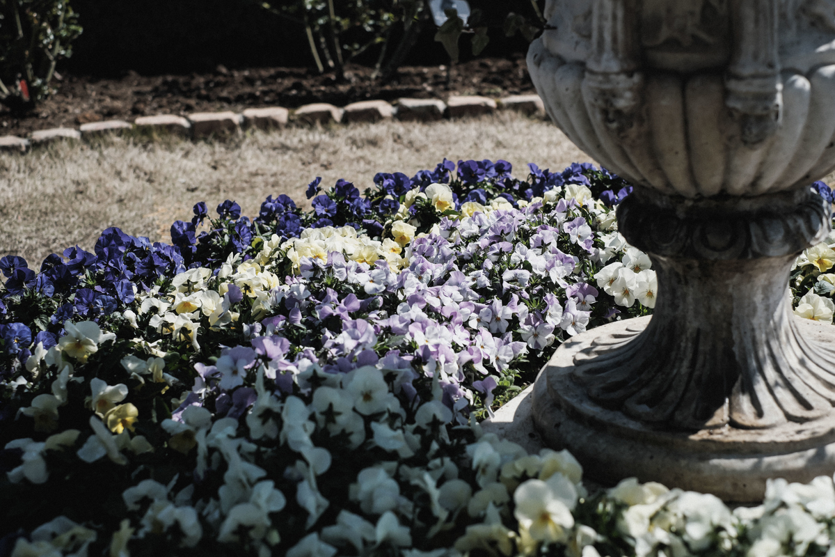 f:id:MotoPhoto94:20200318222552j:plain