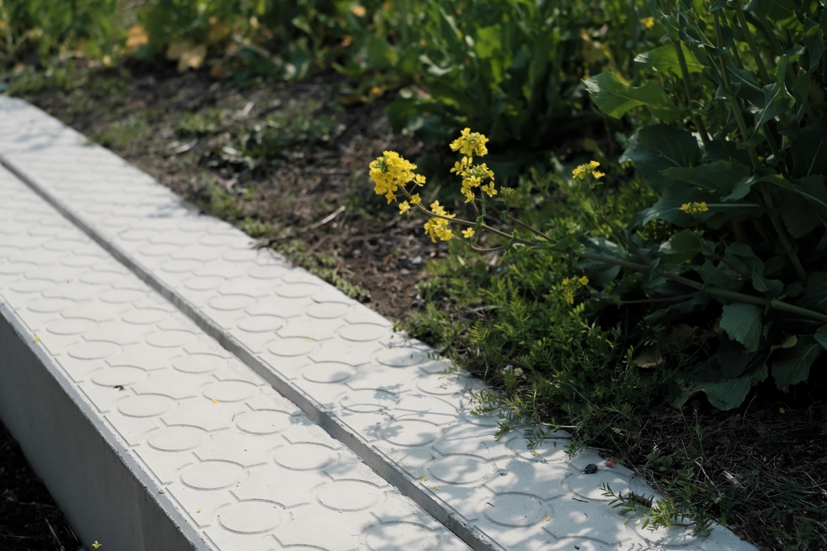 f:id:MotoPhoto94:20200323200107j:plain f:id:MotoPhoto94:20200323200107j:plain