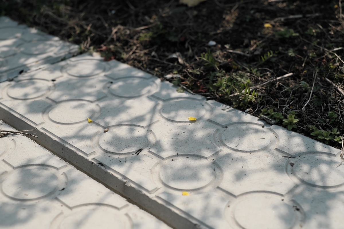 f:id:MotoPhoto94:20200323200234j:plain f:id:MotoPhoto94:20200323200234j:plain