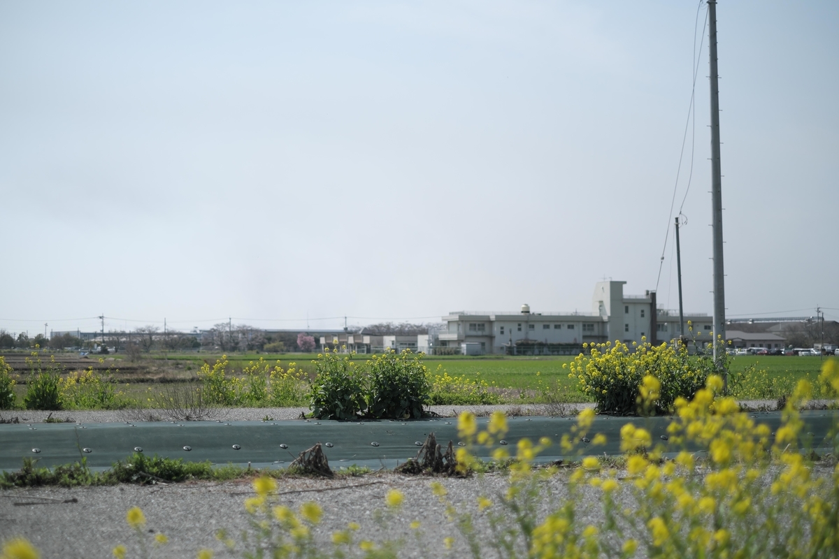 f:id:MotoPhoto94:20200323200339j:plain f:id:MotoPhoto94:20200323200339j:plain