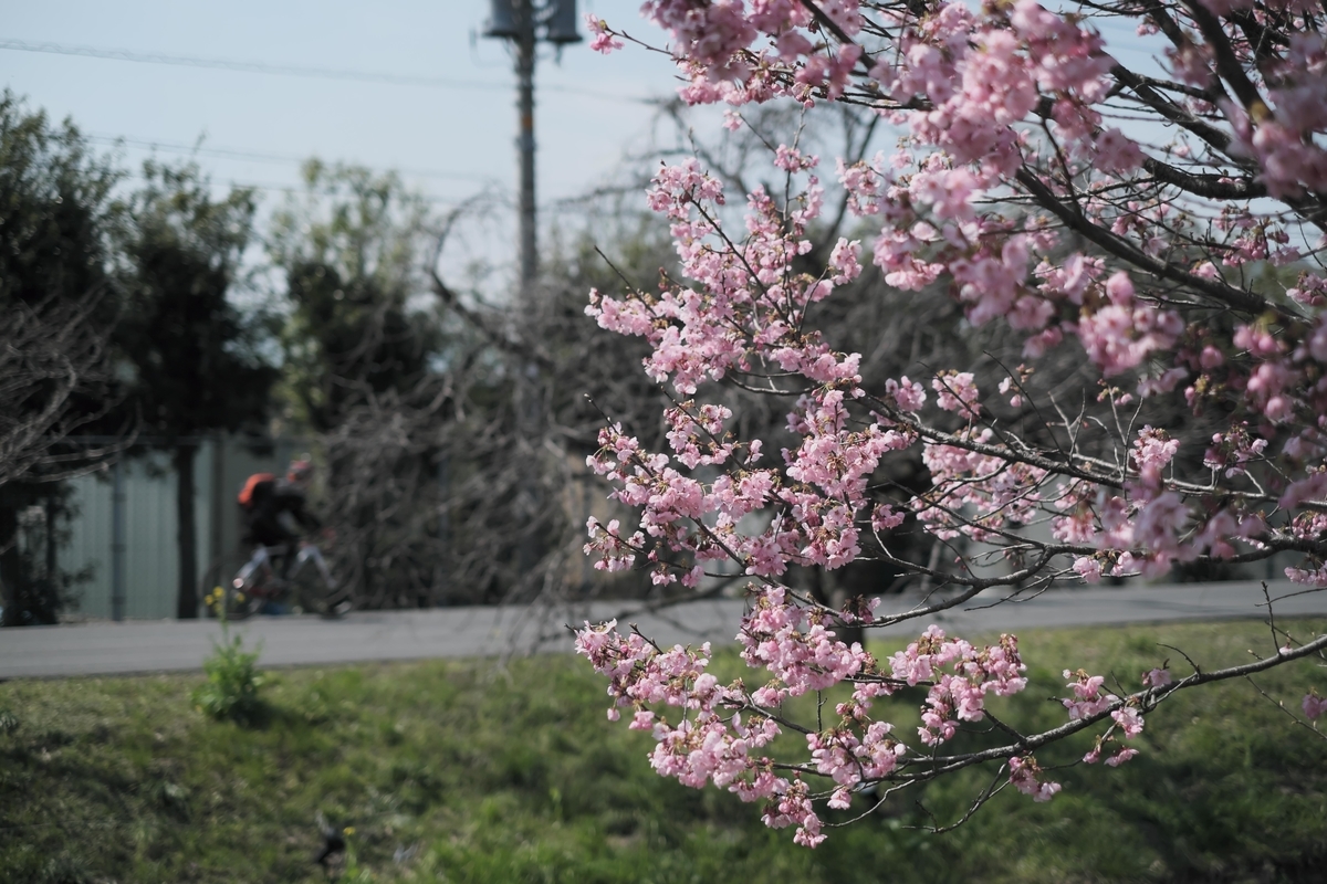 f:id:MotoPhoto94:20200323200506j:plain f:id:MotoPhoto94:20200323200506j:plain