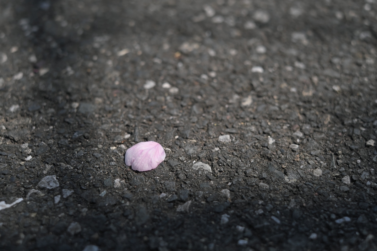 f:id:MotoPhoto94:20200323200526j:plain f:id:MotoPhoto94:20200323200526j:plain