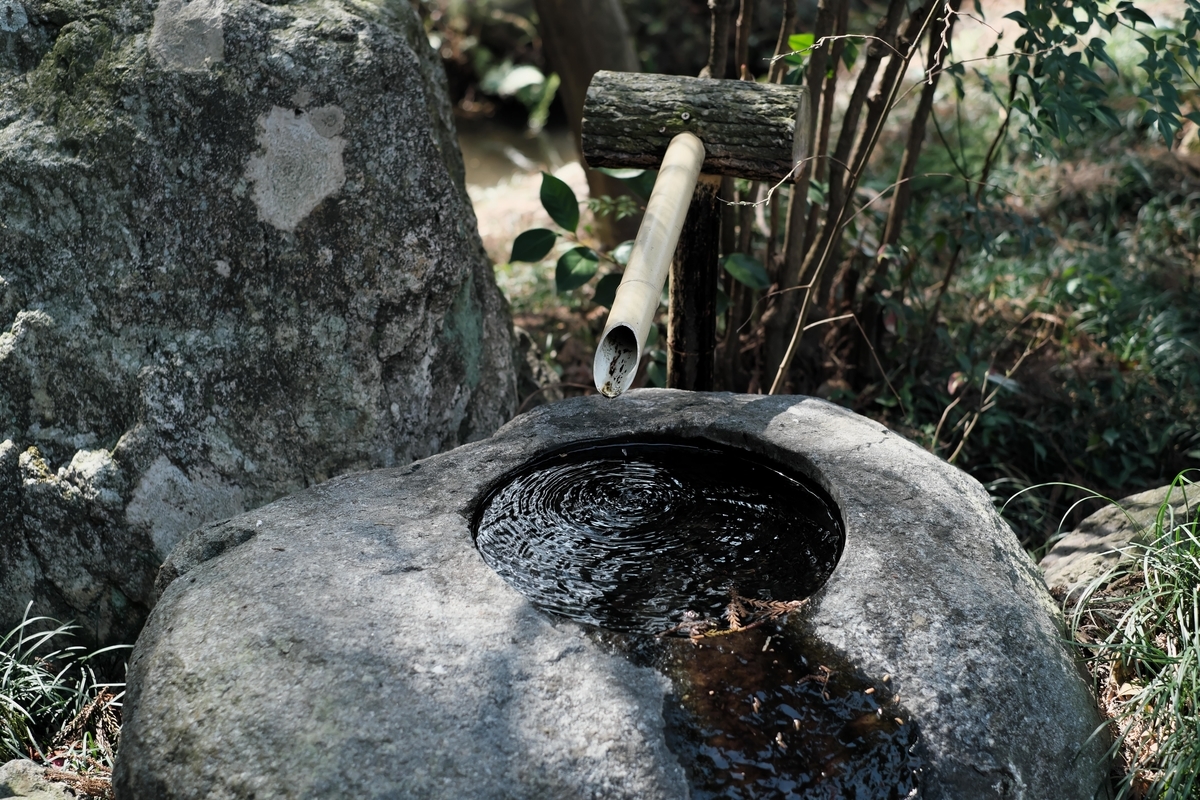 f:id:MotoPhoto94:20200323200639j:plain f:id:MotoPhoto94:20200323200639j:plain