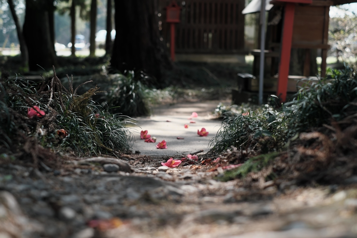 f:id:MotoPhoto94:20200323200658j:plain f:id:MotoPhoto94:20200323200658j:plain