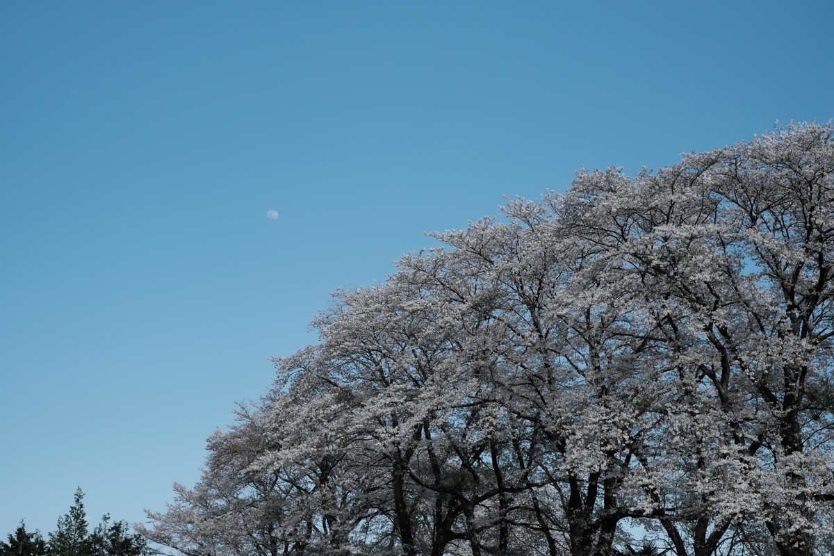 f:id:MotoPhoto94:20200408213611j:plain