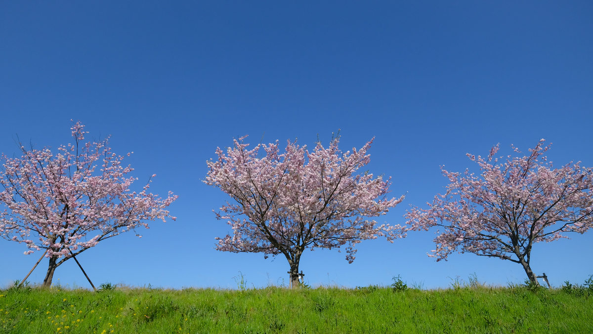 f:id:MotoPhoto94:20200412104913j:plain