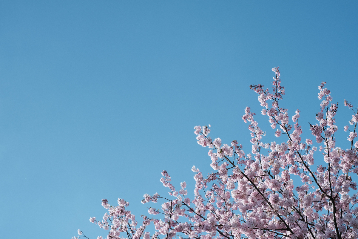 f:id:MotoPhoto94:20200412105015j:plain