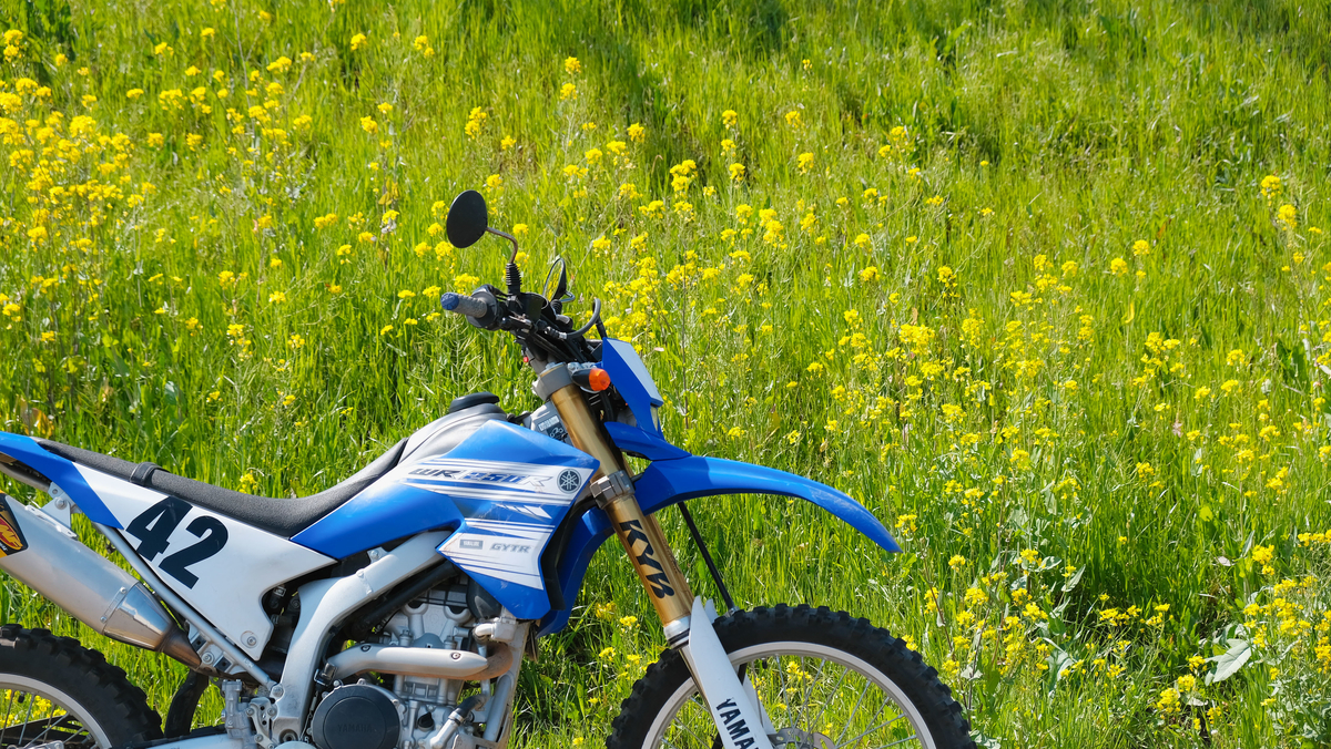 f:id:MotoPhoto94:20200412105159j:plain