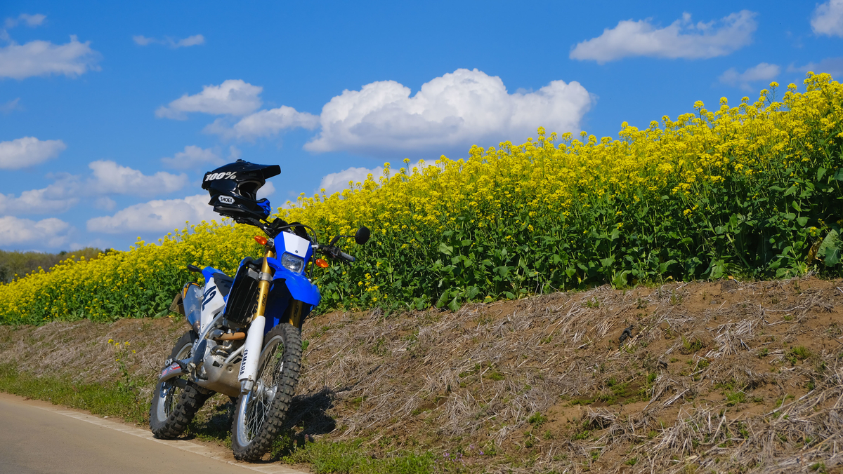 f:id:MotoPhoto94:20200412105241j:plain