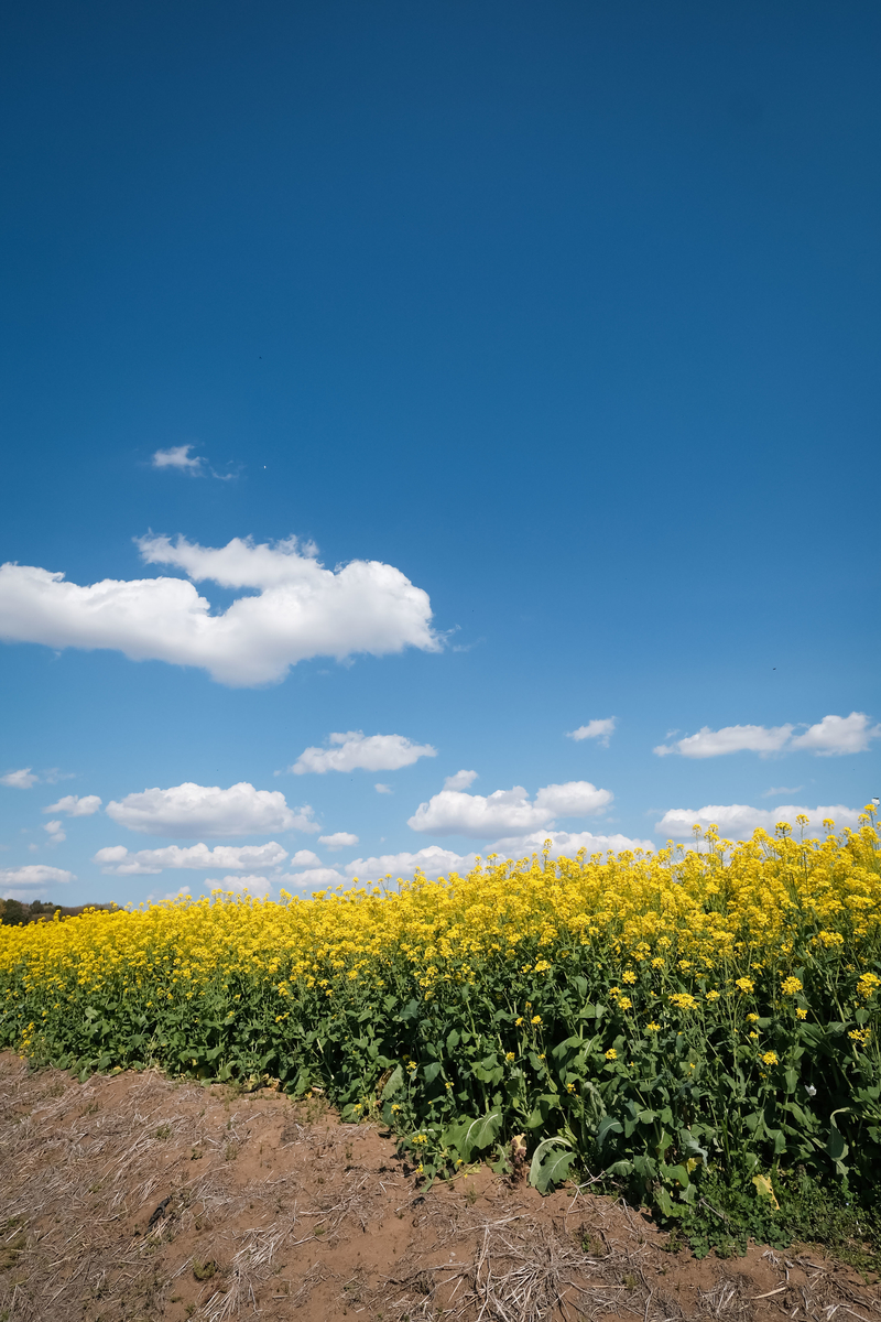 f:id:MotoPhoto94:20200412105347j:plain