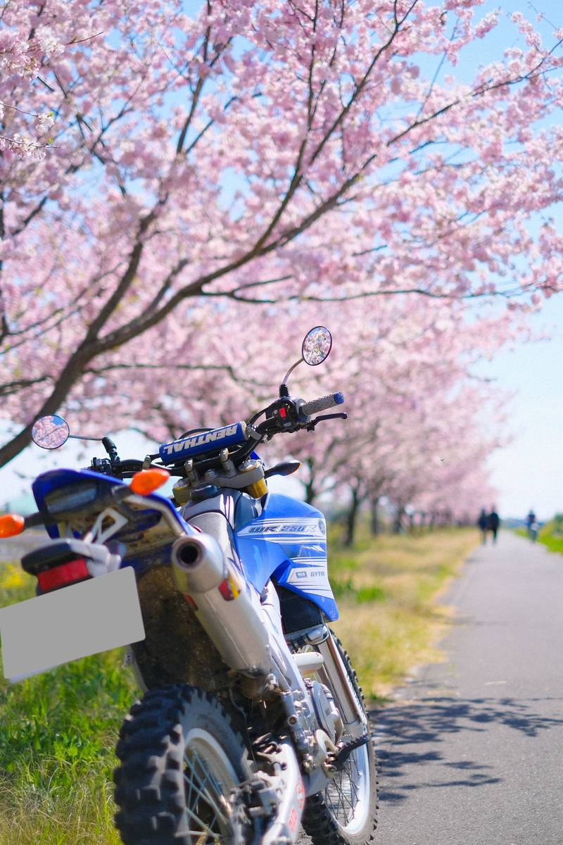 f:id:MotoPhoto94:20200412105411j:plain