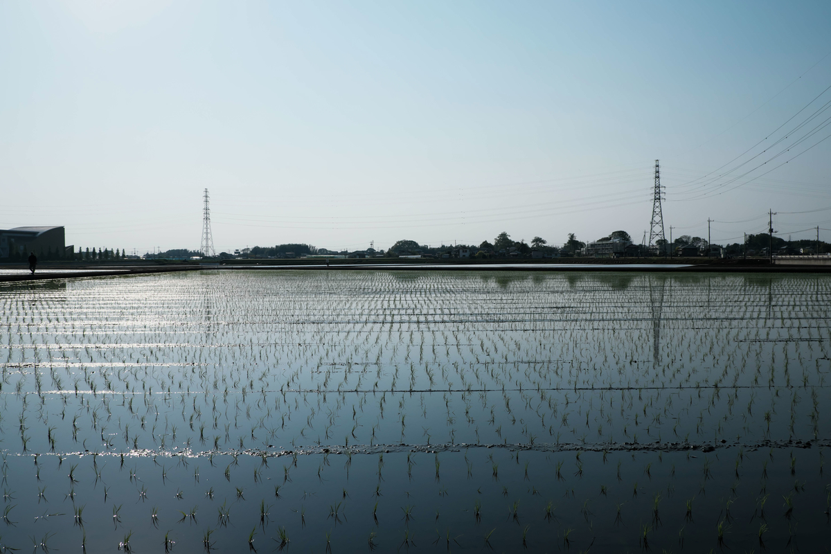 f:id:MotoPhoto94:20200504211200j:plain