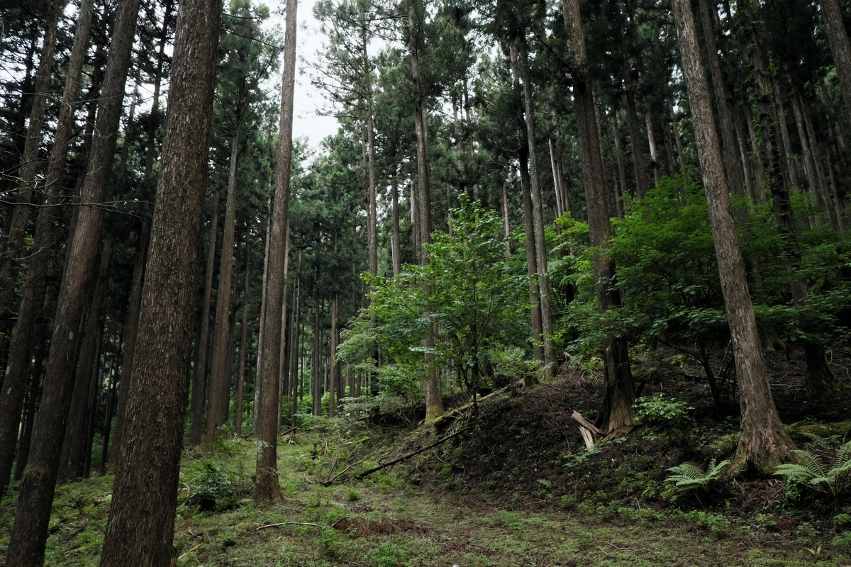 f:id:MotoPhoto94:20200601201839j:plain