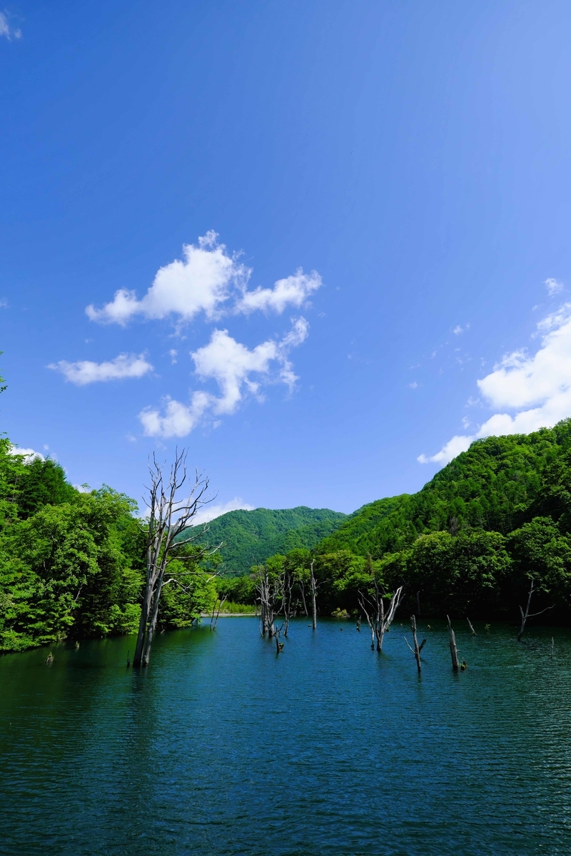 f:id:MotoPhoto94:20200608160454j:plain