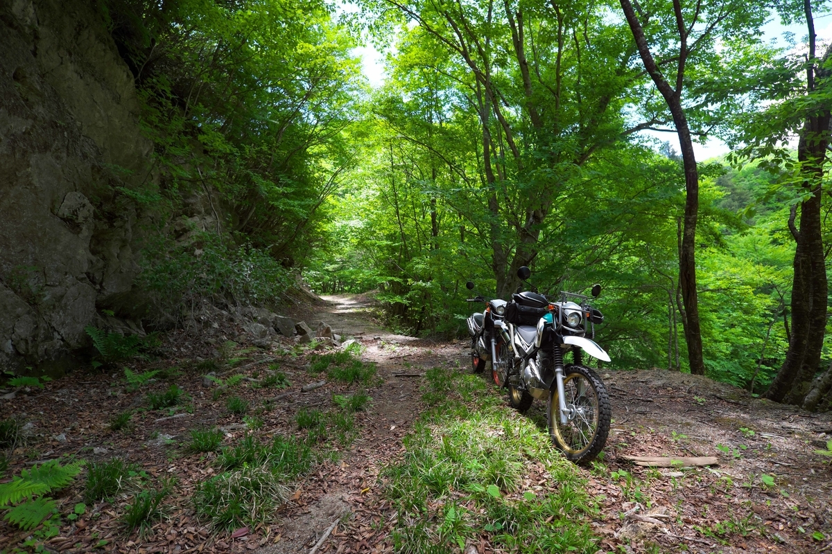 f:id:MotoPhoto94:20200608160642j:plain