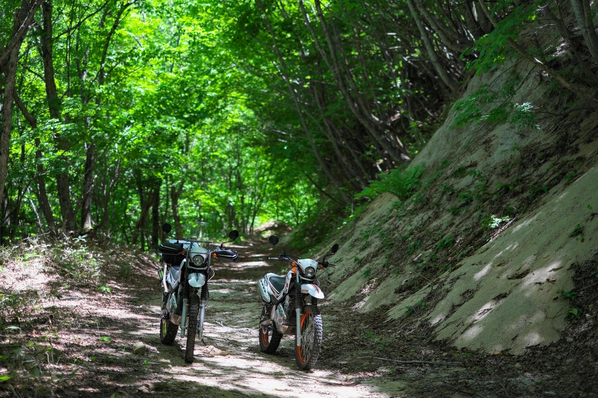 f:id:MotoPhoto94:20200608160718j:plain