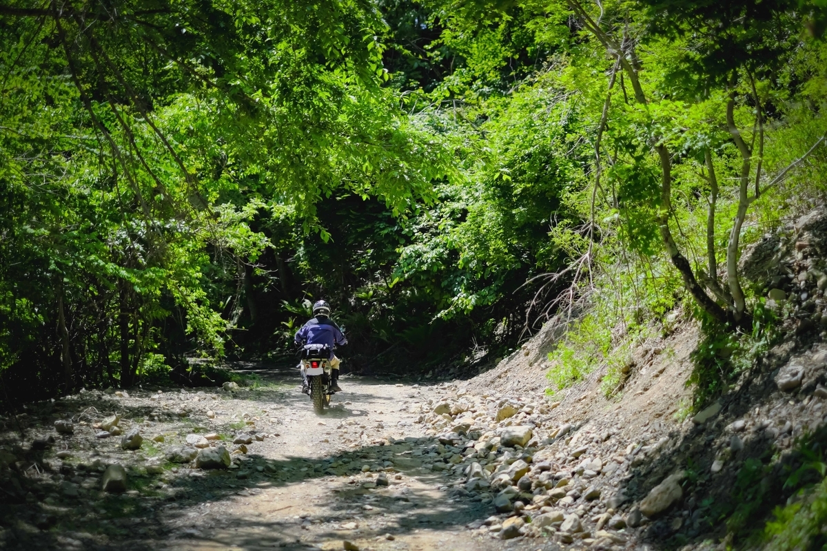 f:id:MotoPhoto94:20200608162655j:plain