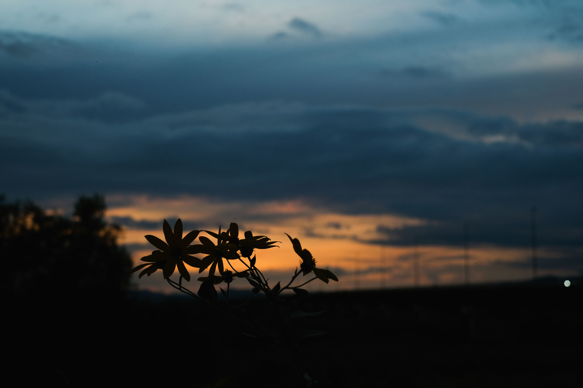 f:id:MotoPhoto94:20200928204643j:plain