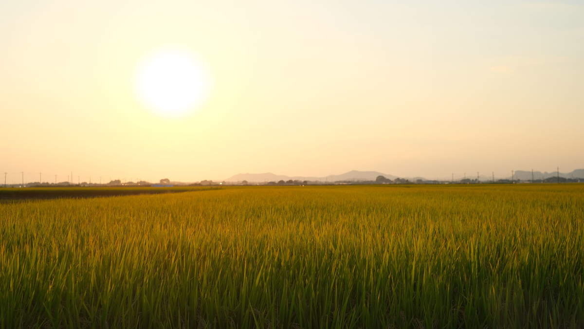 f:id:MotoPhoto94:20200928204729j:plain